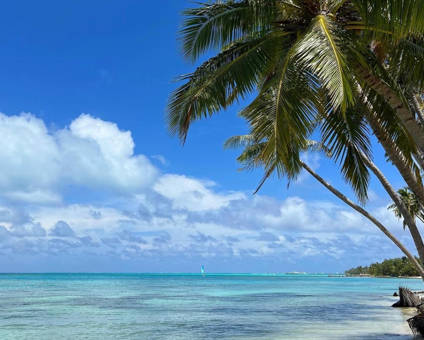 Гостевой дом Heron - The Maldivian Getaway In Dhiffushi,maldives 4*